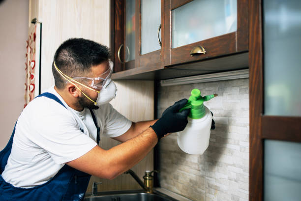 Best Commercial Pest Control Services  in Breckenridge, CO