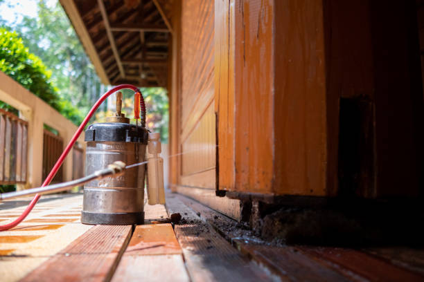 Best Pest Control Near Me  in Breckenridge, CO