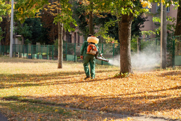 Professional Pest Control in Breckenridge, CO